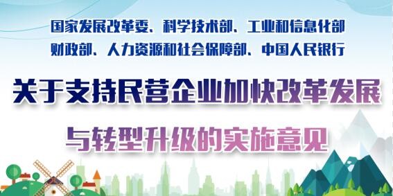 關于支持民營企業加快改革發展與轉型升級的實施意見