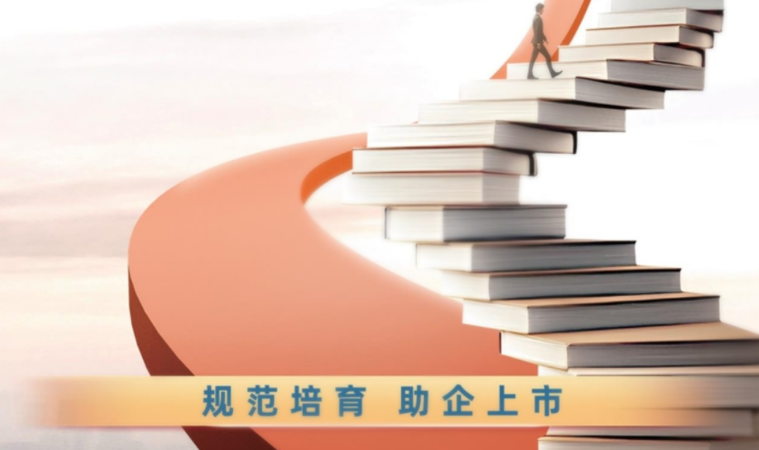 齊魯股權交易中心服務中小企業經驗做法被評為“2025中國品牌日·山東品牌傳播工程”山東品牌價值力優秀案例